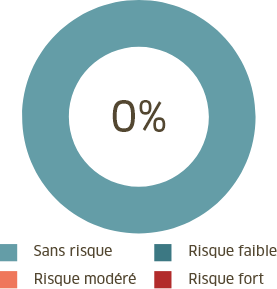 Stratégie sécuritaire