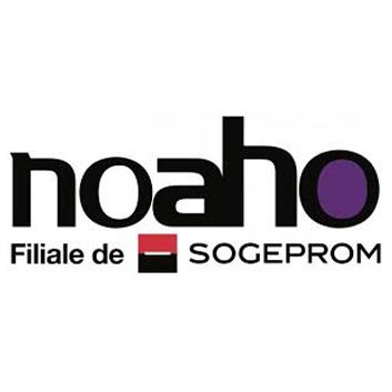 Noaho Noaho